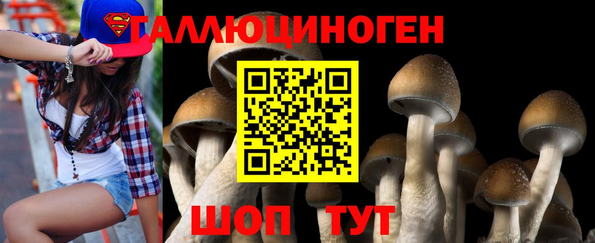 Псилоцибиновые грибы прущие грибы  Вход с VPN  Жигулёвск 